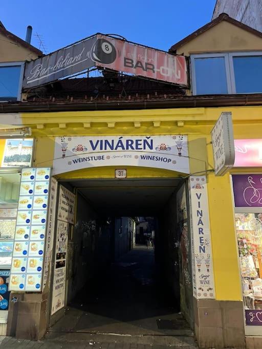 布拉迪斯拉发Bada Bing Plaza公寓 外观 照片